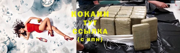 COCAINE Богородицк