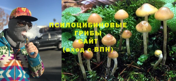 PSILOCYBIN Заволжск