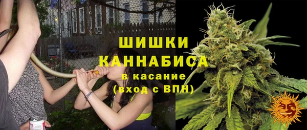 ECSTASY Богородск