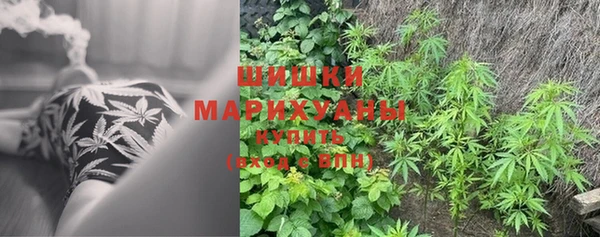 мет Богданович