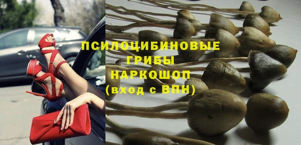 ECSTASY Богородск