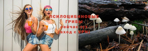COCAINE Богородицк