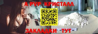 шишки Гай