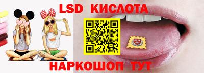 шишки Гай