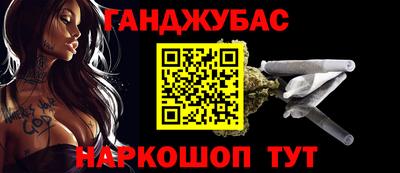 шишки Гай