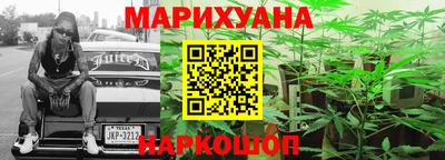 шишки Гай