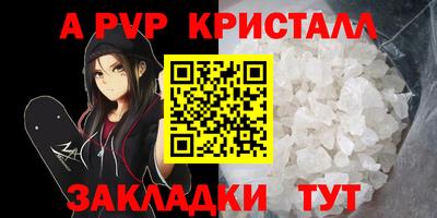 стаф Донецк