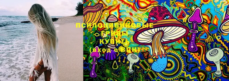 купить наркоту  Горно-Алтайск  Псилоцибиновые грибы Magic Shrooms 