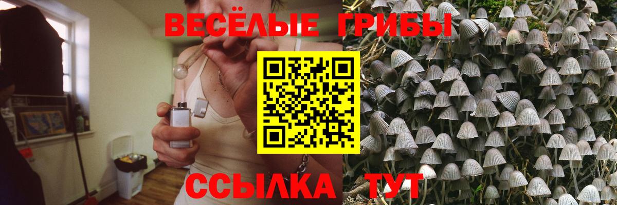Горно-Алтайск  Псилоцибиновые грибы Magic Shrooms  Вход с VPN 