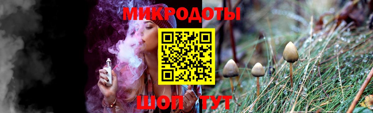 Галлюциногенные грибы MAGIC MUSHROOMS  Горно-Алтайск 